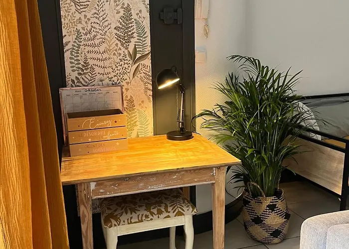 Joli Avec Terrasse Apartment *