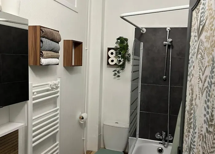 Joli Avec Terrasse Calais